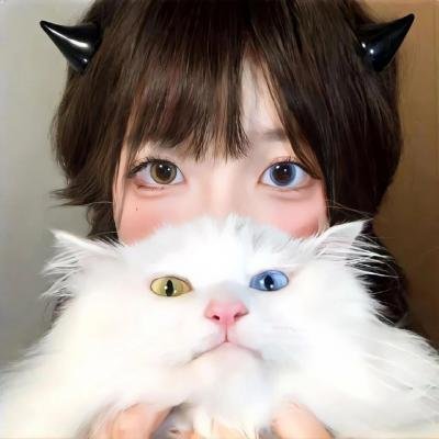 四光猪现蠢记封面